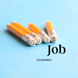 Quiz: Job-Vocabulary